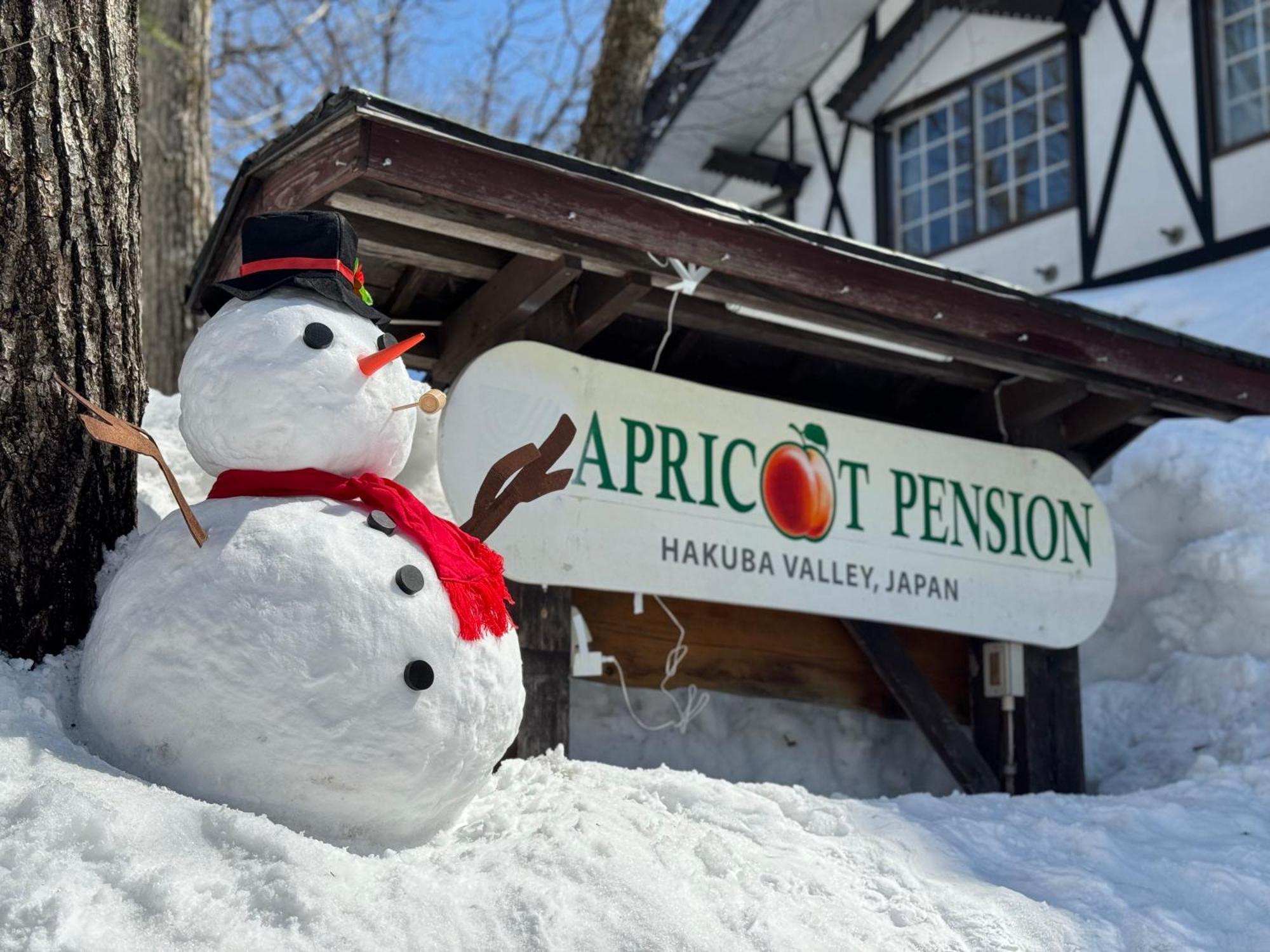 Apricot Pension هاكوبا المظهر الخارجي الصورة